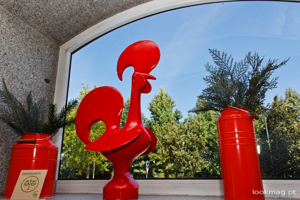 ibis_guimaraes+%2804%29