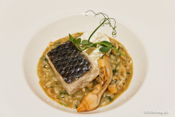 Robalo à Costa Azul